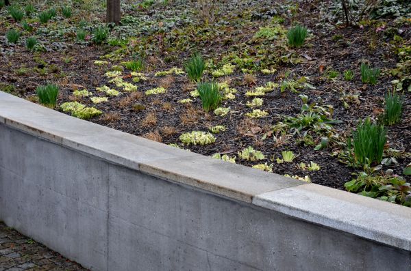 Cost of Concrete Wall Construction in Longmont