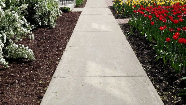 Cement Sidewalk Installation in Longmont