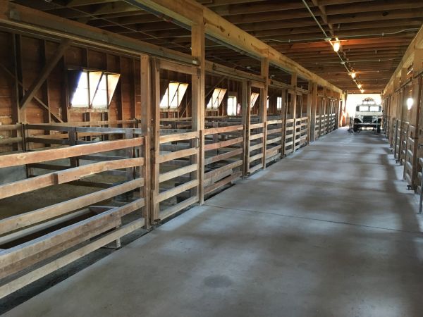 Barn Slab Construction Service