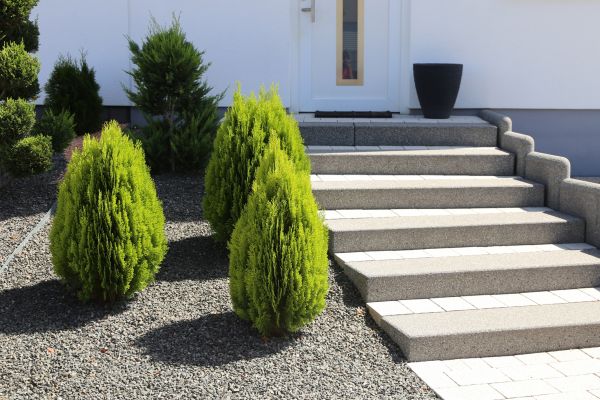 Exterior Steps Construction in Longmont