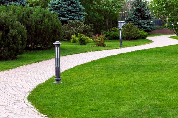 Backyard Sidewalk Installation in Longmont